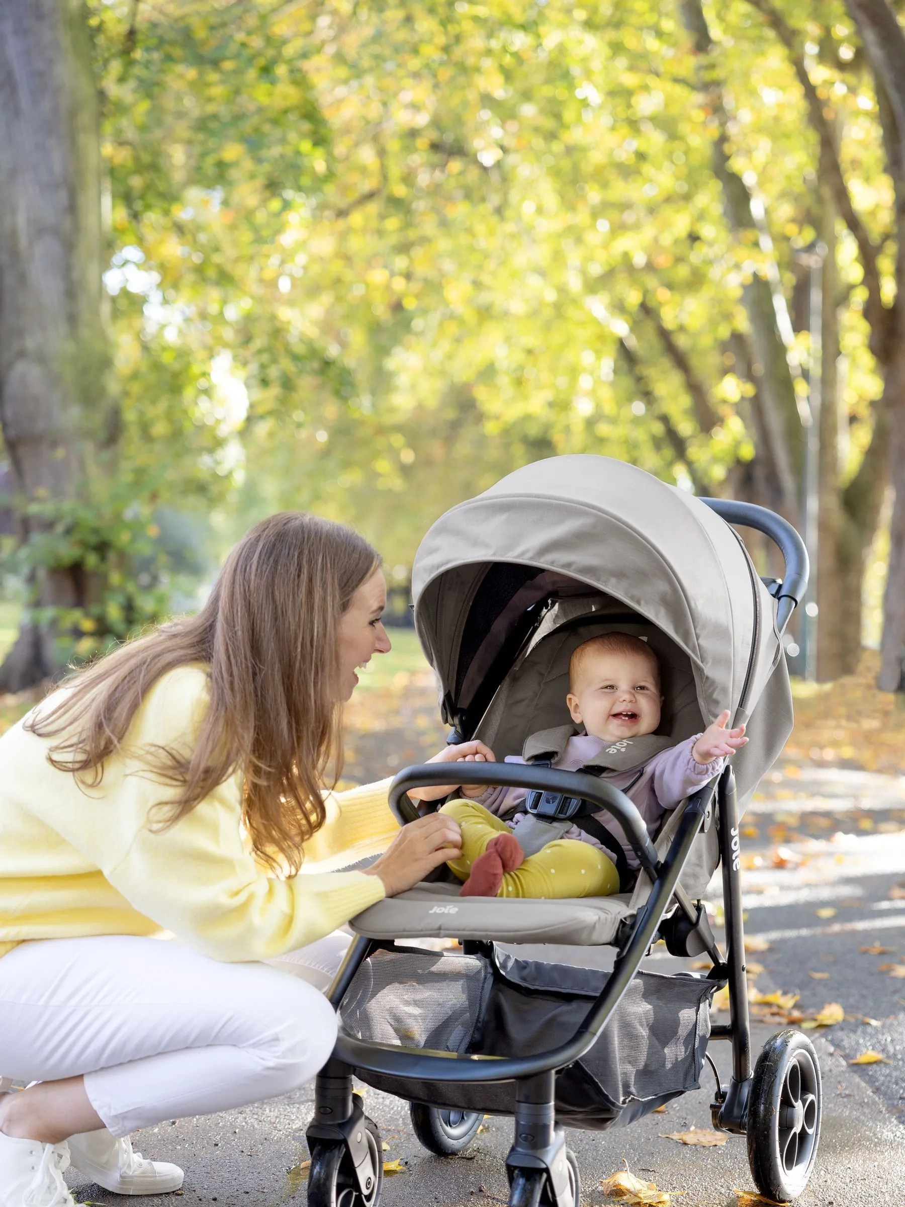 Joie Grey Shale LiteTrax Pro Stroller