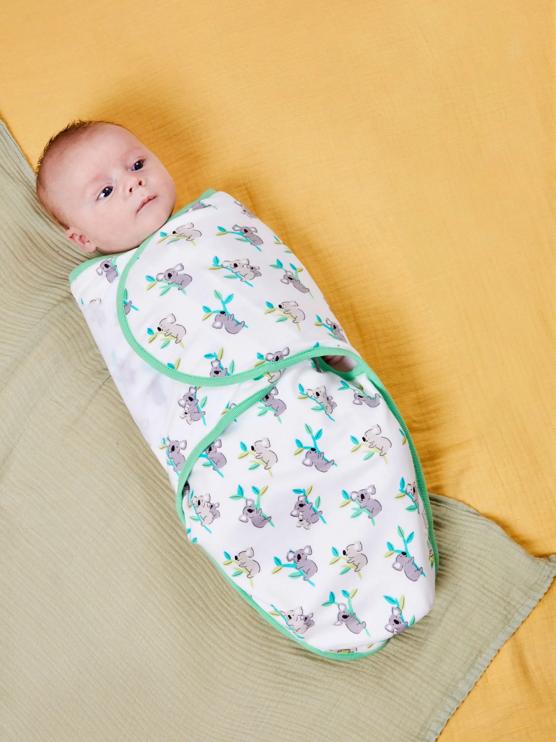 Koala Print Newborn Swaddle